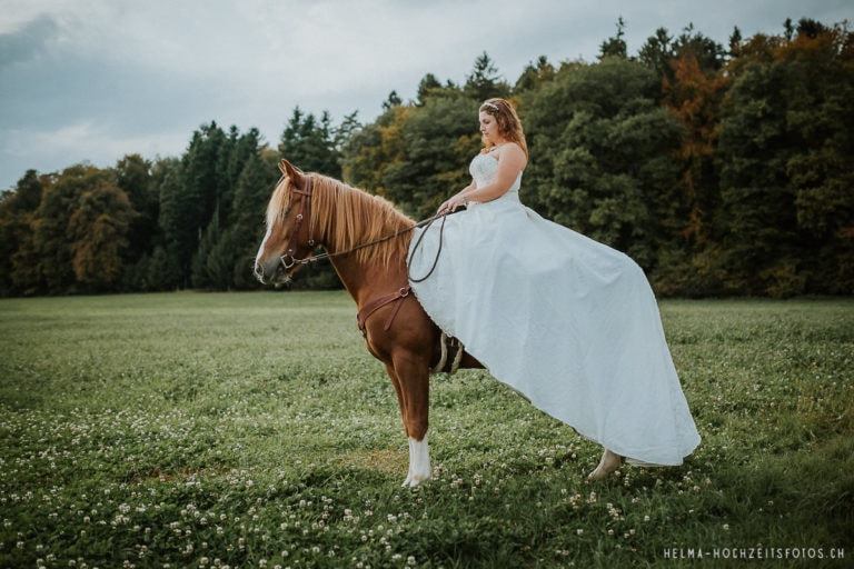 Heiraten mit Pferd Hochzeitsfotograf Bern